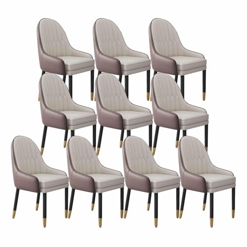 NMVAWIPT Gepolsterte Esszimmerstühle, Beine Aus Massivem Holz, Weich Gepolsterter Sitz, Bequeme Rückenlehne(Color 2,10pcs) von NMVAWIPT