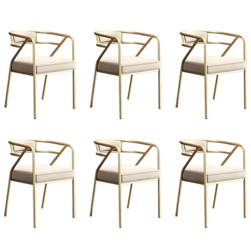 NMVAWIPT Home Living Dining Side Rezeptionsstuhl, Moderner Restaurant Coffee Shop Wartezimmer Sessel Mit Gepolstertem Kissen(Color 1,6pcs) von NMVAWIPT