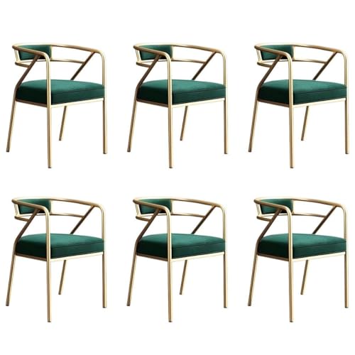 NMVAWIPT Home Living Dining Side Rezeptionsstuhl, Moderner Restaurant Coffee Shop Wartezimmer Sessel Mit Gepolstertem Kissen(Color 11,6pcs) von NMVAWIPT