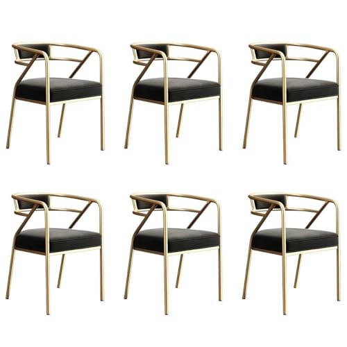 NMVAWIPT Home Living Dining Side Rezeptionsstuhl, Moderner Restaurant Coffee Shop Wartezimmer Sessel Mit Gepolstertem Kissen(Color 13,6pcs) von NMVAWIPT