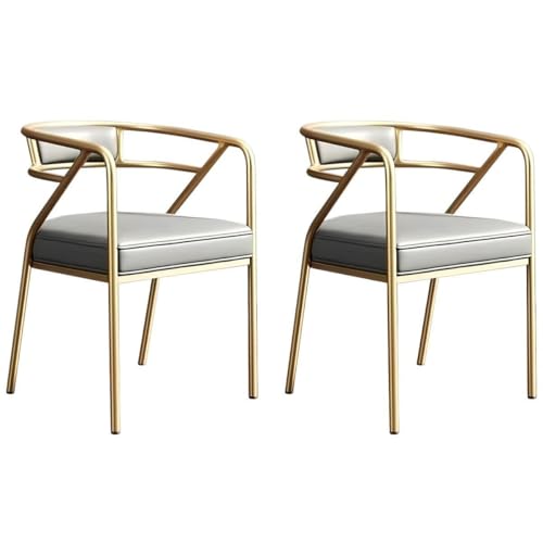 NMVAWIPT Home Living Dining Side Rezeptionsstuhl, Moderner Restaurant Coffee Shop Wartezimmer Sessel Mit Gepolstertem Kissen(Color 8,2pcs) von NMVAWIPT