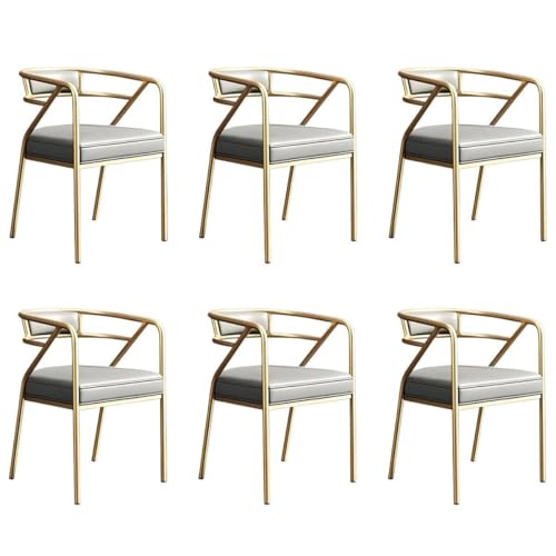 NMVAWIPT Home Living Dining Side Rezeptionsstuhl, Moderner Restaurant Coffee Shop Wartezimmer Sessel Mit Gepolstertem Kissen(Color 8,6pcs) von NMVAWIPT