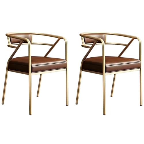 NMVAWIPT Home Living Dining Side Rezeptionsstuhl, Moderner Restaurant Coffee Shop Wartezimmer Sessel Mit Gepolstertem Kissen(Color 9,2pcs) von NMVAWIPT