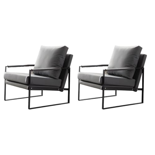 NMVAWIPT Moderne Akzentstühle Aus Ultraweichem Mikrofaserleder, Gepolsterter Sessel, Lesesessel for Das Wohnzimmer Mit Metallbeinen(Gray,2 Pieces) von NMVAWIPT