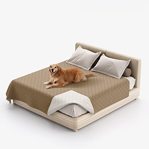 Wasserdichte Hundedecken, extra groß weich Hundematte, Waschbar Haustier Decke für Hunde, rutschfest Welpen Unterlagen bieten umfassende Abdeckung und Schutz für Bett, Sofa, Auto (Taupe,30x50 Zoll) von NNSMUN