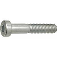 Zylinderschrauben mit niedrigem Kopf M6x10 Zylinderkopfschrauben Innensechskant DIN7984, Stahl verzinkt - 500 Stück Zylinderschrauben mit niedrigem Kopf M6x10 Zylinderkopfschrauben Innensechskant DIN7984, Stahl verzinkt - 500 Stück von NO BRAND