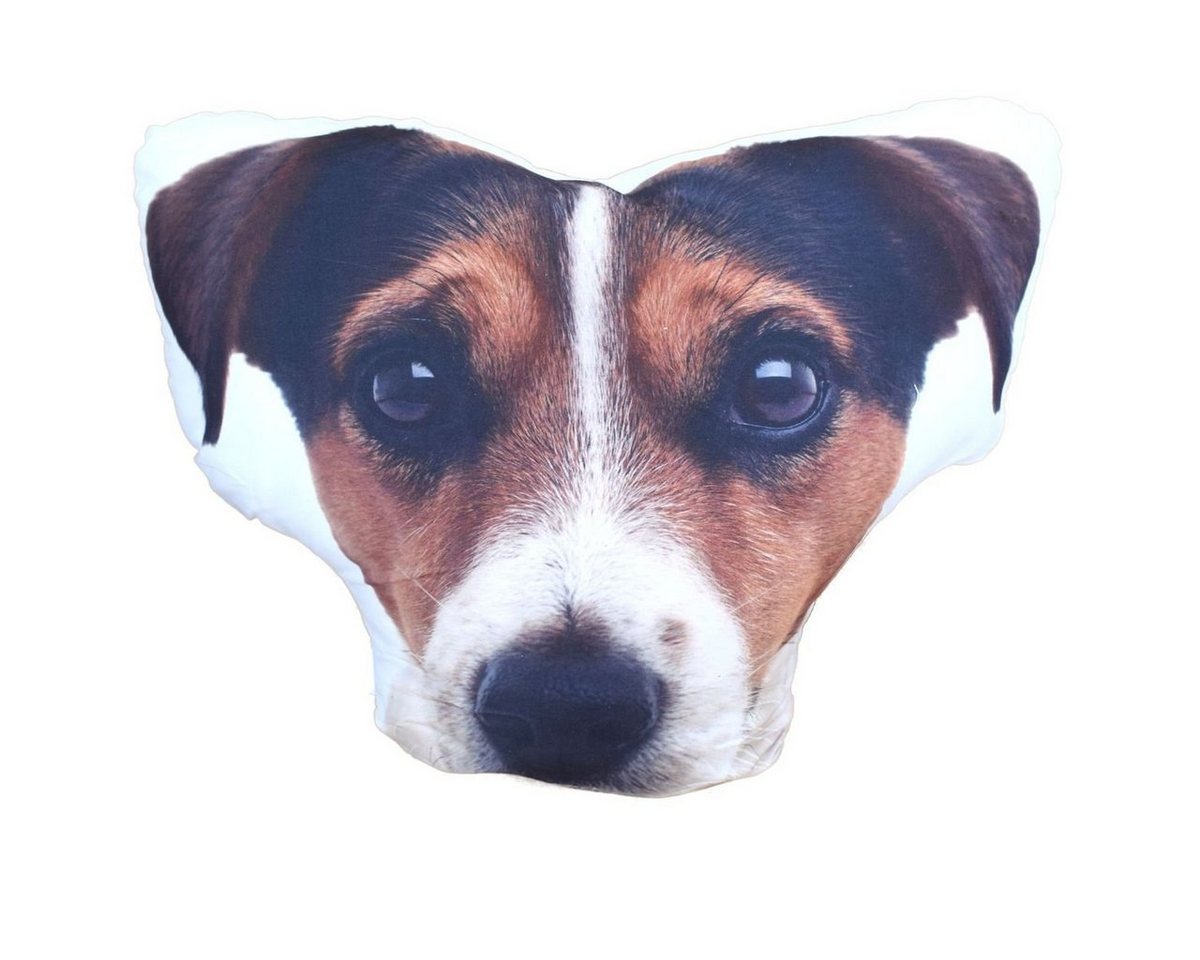 Dekokissen Dekokissen mit 3D fotorealistisch Jack Russell Terrier Kopf 47cm Couch von OTTO