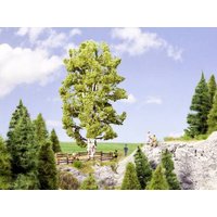 NOCH 0021641 Baum Birke 190mm 1St. von NOCH