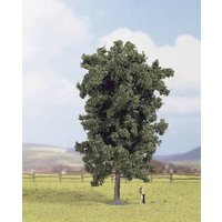 NOCH 25895 Baum Rosskastanie 190mm 1St. von NOCH