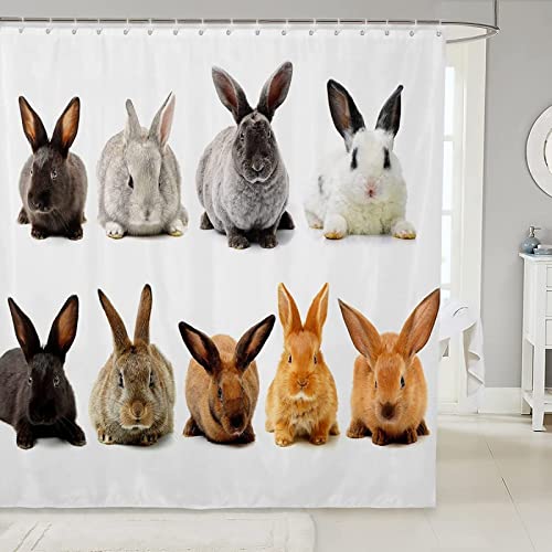 NODATE Duschvorhang 200x200 cm Kaninchen Shower Curtains Süße Tiere 3D Duschvorhang Antischimmel Kaninchen Wasserdicht Textil Waschbar Duschvorhänge für Badezimmer Badewannen von NODATE