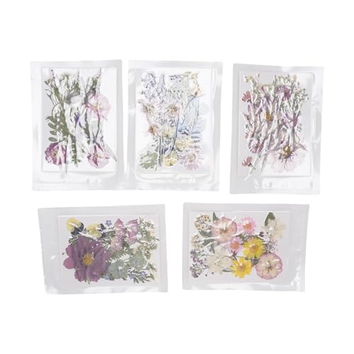 NOENNULL 100 Stück Gepresste Getrocknete Blumen, Echte Gepresste Blumen Zum Basteln, Scrapbooking, Kunstharzkunst, Schmuckherstellung, Dekoration von Handyhüllen (Typ 1) von NOENNULL