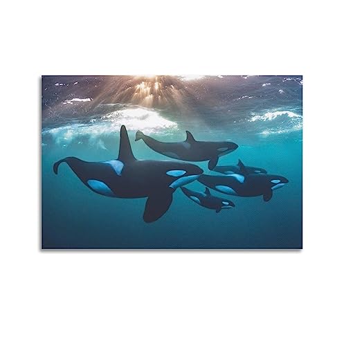 NOHF Meerestier-Poster, Killerwale schwimmen im Meer, Wandkunstdruck, Retro-ästhetische Raumdekoration, Malerei, Leinwand, Poster für Zuhause und Büro, 60 x 90 cm, ungerahmt NOHF Meerestier-Poster, Killerwale schwimmen im Meer, Wandkunstdruck, Retro-ästhetische Raumdekoration, Malerei, Leinwand, Poster für Zuhause und Büro, 60 x 90 cm, ungerahmt von NOHF