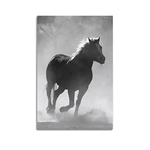 NOHF Poster mit Tiermotiven, weißes und schwarzes Pferd, Wandkunstdruck, Retro, ästhetisch, Raumdekoration, Bürodekoration, 20 x 30 cm, ungerahmt von NOHF
