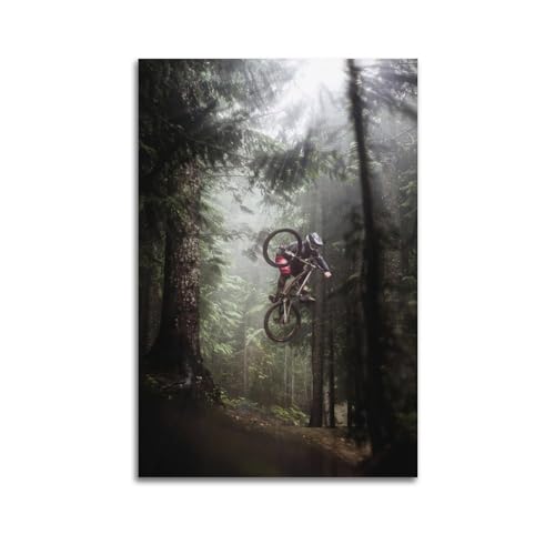 NOHF Sport-Mountainbike-Poster, Wandkunstdruck, Retro, ästhetisch, Raumdekoration, Bürodekoration, 20 x 30 cm, ungerahmt von NOHF