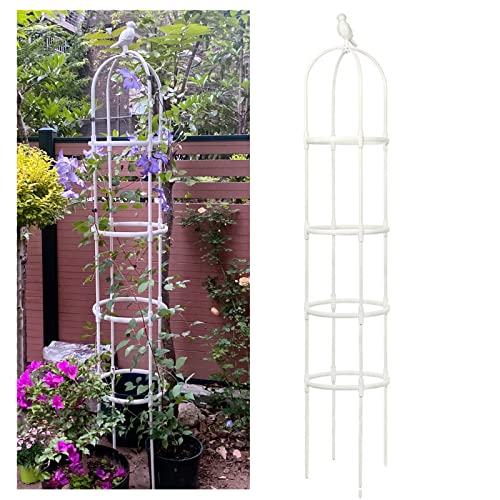 Garten Obelisk Rankhilfe Mit Vogeldeko, Ranksäule Tomatenkäfig Pflanzenstütze Spalier Zum Klettern Von Reben, Rosen, Tomaten, Blumen, Gemüse, Schwarz, Weiß ( Color : White , Size : 42x205cm/16.5x80.7i von NOIRDA