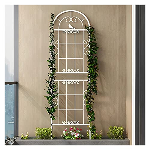 NOIRDA Gartenspalier Rankhilfe Gitter Metall Mit Verspielten Design, 185 cm, 210 cm, 230 cm Rankgitter Für Topfpflanzen, Balkon, Terrasse, Schwarz Weiß (Color : White, Size : 185cm/72.8in) von NOIRDA