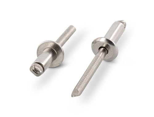 NOLDAR | Blindnieten aus EDELSTAHL mit Standardkopf. Größe 4,8 x 12 mm (250 Stück) von NOLDAR