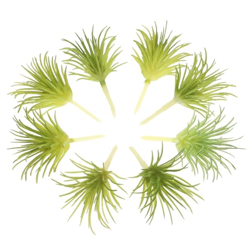 NOLITOY 12 Stück Teiliges Künstliche Sukkulenten Pflanzen aus PVC Lebensecht und Farbintensiv als DIY Bonsai Deko für Schreibtisch Wohnraum Fensterbank Hochzeit und Fotografie von NOLITOY