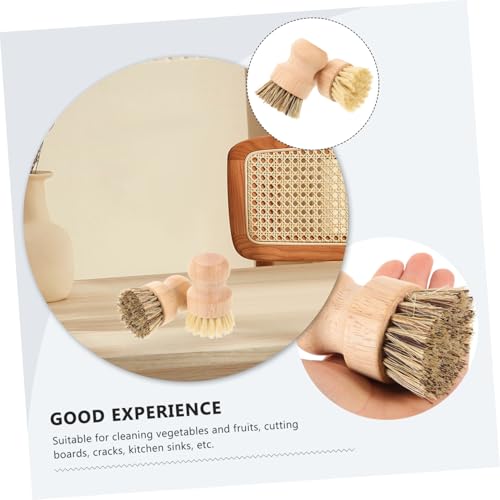 NOLITOY 2 Stück Praktische Küchen Palm bürste aus Nachhaltigem Holz mit Dichten Borsten für Schonende Topf Pfannenreinigung Ergonomisch Geformt Vielseitig Einsetzbar für Haushalt und von NOLITOY
