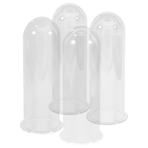 NOLITOY 4 Stück Teiliges Glas Testrohr für Pflanzenvermehrung Transparente Hydroponik Vase mit Stabilem Glas für Wurzeldarstellung und Pflanzenschnitt Dekorative Pflanzenvase für Garten von NOLITOY