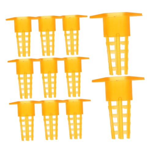 NOLITOY 60 Stück Teiliges Zubehör Bienenkönigin Schutzkäfig mit Belüftungslöchern Bienenfreundliche Aufzuchtbasis für Gesunde Professionelles Imker Werkzeug zur Effizienzsteigerung von NOLITOY