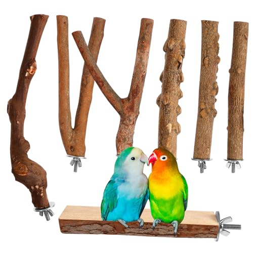 NOLITOY 7 Stück Teiliges Naturholz Vogel Sitzstangen für Papageienkäfige Robuste Kletterplattformen mit Rutschfester Oberfläche Langlebiges Vogelzubehör für Wellensittiche Nymphensittiche von NOLITOY