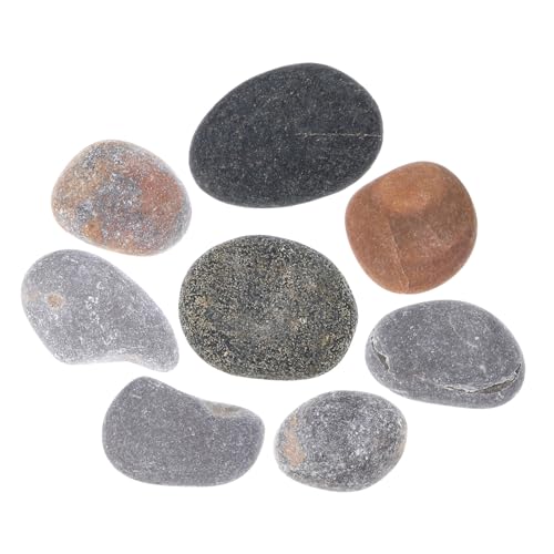 NOLITOY 8 Stück Teiliges Bemalbare Steine für Handbemalte Diy Kreativsteine Gemischte Farben Große Kieselsteine zum Garten und Bastelprojekte NOLITOY 8 Stück Teiliges Bemalbare Steine für Handbemalte Diy Kreativsteine Gemischte Farben Große Kieselsteine zum Garten und Bastelprojekte von NOLITOY