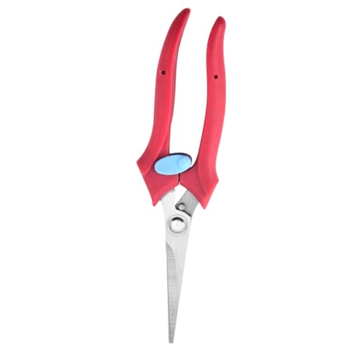 NOLITOY Gartenschere Pflückschere Ergonomisch Garten Trimmer mit Sicherheitsverschluss Scharfe Feinzahnschere für Präzises Obstpflücken und Strauchschnitt Vielseitiges NOLITOY Gartenschere Pflückschere Ergonomisch Garten Trimmer mit Sicherheitsverschluss Scharfe Feinzahnschere für Präzises Obstpflücken und Strauchschnitt Vielseitiges von NOLITOY
