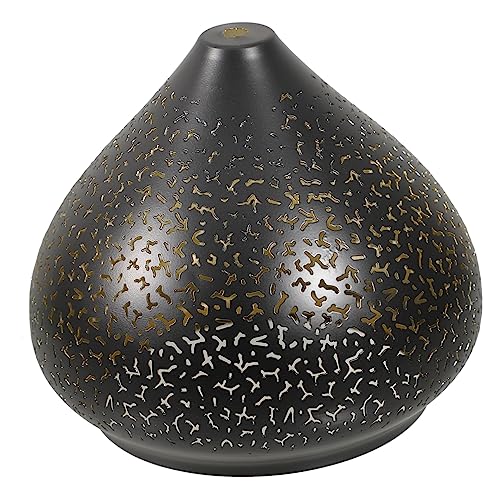NOLITOY Hollow Iron Lamp Shade Eleganter Lampenschirm für Deckenleuchten Stilvolles Design mit Hohlem Muster für Wohnzimmer Schlafzimmer und Küchen von NOLITOY