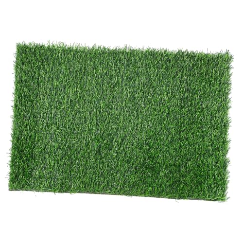 NOLITOY Künstliche Gras Türmatte rutschfest mit Drainagelöchern für Outdoor Eingangsbereich Langlebige Gummirückseite Realistische Grüne Optik für Garten und Terrasse NOLITOY Künstliche Gras Türmatte rutschfest mit Drainagelöchern für Outdoor Eingangsbereich Langlebige Gummirückseite Realistische Grüne Optik für Garten und Terrasse von NOLITOY