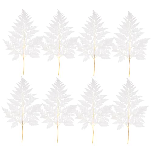 NOLITOY Farn-Requisite Für Vasen Heimdekor Farn-dekor Konservierte Blumen DIY-pflanzenschmuck Getrocknete Pflanze Als Tischdeko NOLITOY Farn-Requisite Für Vasen Heimdekor Farn-dekor Konservierte Blumen DIY-pflanzenschmuck Getrocknete Pflanze Als Tischdeko von NOLITOY