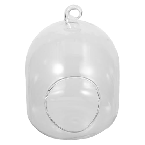 NOLITOY Rundes Glasgefäß Für Pflanzen Kleines Glas-Terrarium Glas-gewächshaus-Terrarium Dekoratives Glasgefäß Terrarienhalter Terrarienbehälter Terrariendekor Moosdekoration von NOLITOY
