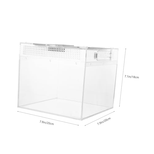 NOLITOY Reptilien Fütterungsbox mit Belüftung Kleine Terrarien Box für Eidechsen Frösche Schildkröten und Spinnen Praktischer Aufzuchtbehälter Bpa frei Transparent für Kleine Reptilien von NOLITOY