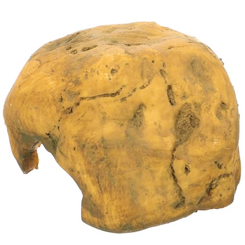 NOLITOY Resin Reptilien Versteck Höhle für Bartagame und Schlangen Aquarium Deko Schildkröten Versteck Naturnahes Design Robust und Pflegeleicht NOLITOY Resin Reptilien Versteck Höhle für Bartagame und Schlangen Aquarium Deko Schildkröten Versteck Naturnahes Design Robust und Pflegeleicht von NOLITOY