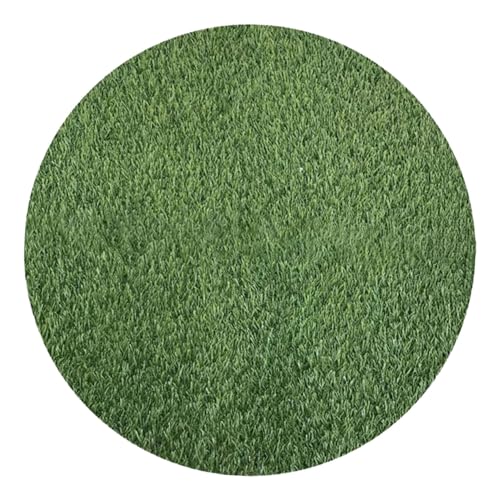 NOLITOY Runde Künstliche Grasmatte Wetterfest Realistische Outdoor Tischdekoration für Gartentisch Schachtabdeckung Vielseitig Einsetzbar und Pflegeleicht NOLITOY Runde Künstliche Grasmatte Wetterfest Realistische Outdoor Tischdekoration für Gartentisch Schachtabdeckung Vielseitig Einsetzbar und Pflegeleicht von NOLITOY