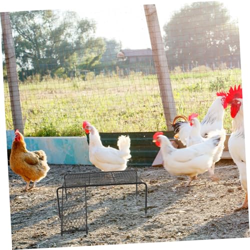 NOLITOY Rutin Hühnerplattform mit Leiter Hohlraum Hühnerbarsch Hühnersprungtisch für Kleintiere Käfigdekoration und Trainingsspielzeug zur Stressreduktion von NOLITOY