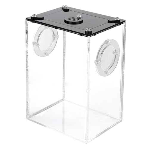 NOLITOY Transparenter klarer Reptilienzuchtkasten mit Belüftungslöchern Robuste Lebendige Box für Echsen Chamäleons Spinnen und Kriechtiere Praktisches Terrarium zur Tierbeobachtung und von NOLITOY