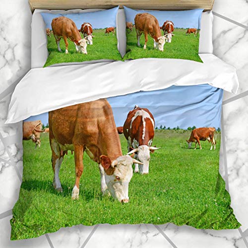 NOLYXICI Bettwäsche - Bettwäscheset Haltungs-Bauernhof-Kühe auf Sommer-Weiden-Natur Bevy Farming Grass Agriculture Beast Beef Design Mikrofaser weich dreiteilig Mit 2 Kissenbezügen 135 * 200 von NOLYXICI