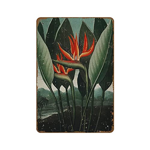 Botanischer Druck Botanische Küche Kunst Gärtner Geschenk Königin Pflanze Vintage Kunst Wandkunst Pflanze Neuheit 20,3 x 30,5 cm Blechschild Wand Lustig Männerhöhle Coole Wand Tür Schild Neu Botanischer Druck Botanische Küche Kunst Gärtner Geschenk Königin Pflanze Vintage Kunst Wandkunst Pflanze Neuheit 20,3 x 30,5 cm Blechschild Wand Lustig Männerhöhle Coole Wand Tür Schild Neu von NOMELY