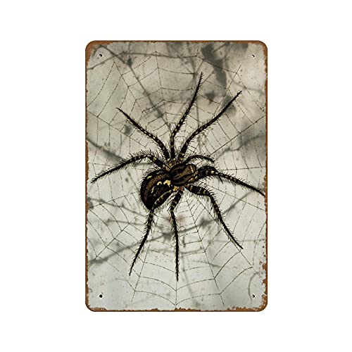 Spinnennetz-Kunst, Spinnennetz, Spinnennetz, Halloween, Spinnennetz, Halloween, Kunst, Spinnennetz, Halloween, Neuheit, gebrochene Knöchel, Garage, Schweißgeschäft, Retro-Blechschild, 20,3 x 30,5 cm Spinnennetz-Kunst, Spinnennetz, Spinnennetz, Halloween, Spinnennetz, Halloween, Kunst, Spinnennetz, Halloween, Neuheit, gebrochene Knöchel, Garage, Schweißgeschäft, Retro-Blechschild, 20,3 x 30,5 cm von NOMELY