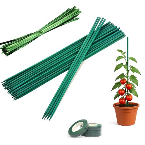 50 Stück Pflanzenstützstäbe, grüne Bambusstäbe, mit 200 Stück Bindebändern und einer Rolle Klebeband, Holzpfähle, Bambusstäbe für Pflanzen, Blumen, Heimgarten (30 cm) von NONEOYNO