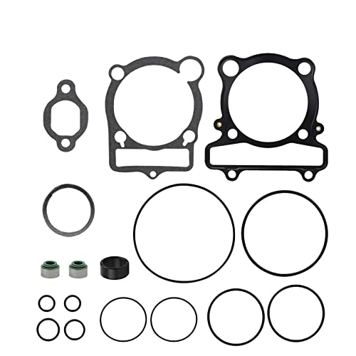 NONROT Top End Head Dichtungssatz for Yamaha for Big Bear 350 for Kodiak 400 for Raptor 350 for Warrior 350 for Wolverine 350 YFM350 YFM350R YFM350X YFM350FX NONROT Top End Head Dichtungssatz for Yamaha for Big Bear 350 for Kodiak 400 for Raptor 350 for Warrior 350 for Wolverine 350 YFM350 YFM350R YFM350X YFM350FX von NONROT