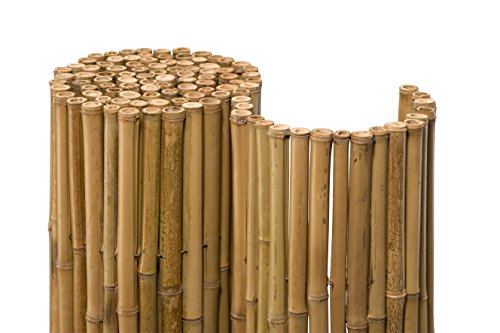 NOOR Bambusmatte DELUXE - Natürlicher Sichtschutz aus Bambus für Balkon, Terrasse und Garten - Wetterfeste Sichtschutzmatte für den Zaun - 90 cm x 2,5 m Bambusrohr mit ca. 40 mm ⌀ NOOR Bambusmatte DELUXE - Natürlicher Sichtschutz aus Bambus für Balkon, Terrasse und Garten - Wetterfeste Sichtschutzmatte für den Zaun - 90 cm x 2,5 m Bambusrohr mit ca. 40 mm ⌀ von NOOR