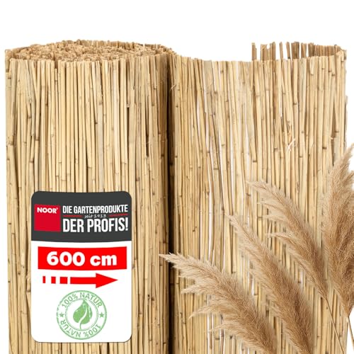 NOOR Schilfrohrmatte ST. Tropez - Natürlicher Sichtschutz aus Schilf für Balkon, Terrasse und Garten - Wetterfeste Sichtschutzmatte zum Anbringen am Zaun - 140 cm x 6 m Schilfrohr Balkonsichtschutz von NOOR
