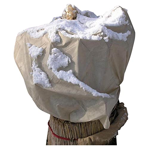 NOOR Wintervlies 1,5 x 5 m 30gr/m²I Winterschutz Vlieshaube I Frostschutzhaube für Pflanzen I Winterschutz für Pflanzen Überwinterung I Frostresistenter Pflanzenvlies/Winterschutzvlies I Beige von NOOR