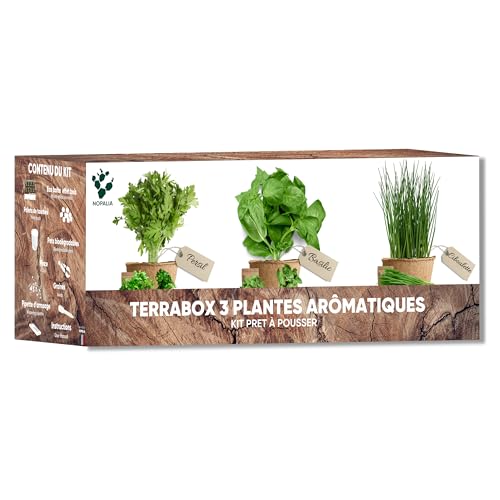 Kräuter- & Aroma-Set – Mini-Gemüsegarten für drinnen und draußen – Bio-Samen (Basilikum, Petersilie, Schnittlauch) – außergewöhnliche Geschenkidee & Küche – umweltfreundliches Produkt – hergestellt in von NOPALIA