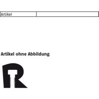 Reyher art 88132 Nord-lock Scheiben geklebt 1.4547 (254 smo) nl 12 ss (200) von NORD-LOCK