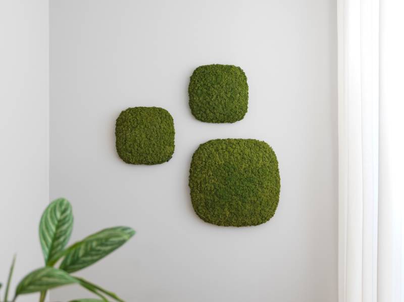 NORDGRÖNA Convex Squircle Schallabsorbierendes Wandbild von NORDGRÖNA