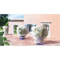 3 Winterabdeckungen 1,80 x 2 WINTERSAC Nortene 3 Winterabdeckungen 1,80 x 2 WINTERSAC Nortene von NORTENE