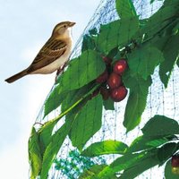 EASYNET Vogelschutznetz Nortene von NORTENE